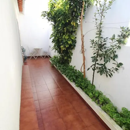 Oriente Dna Iv * Lissabon